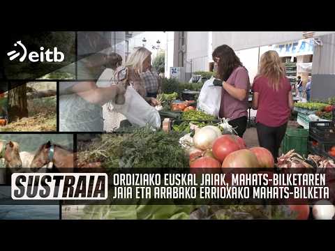 SUSTRAIA: Ordiziako Euskal Jaiak, Mahats-bilketaren jaia eta Arabako Errioxako mahats-bilketa