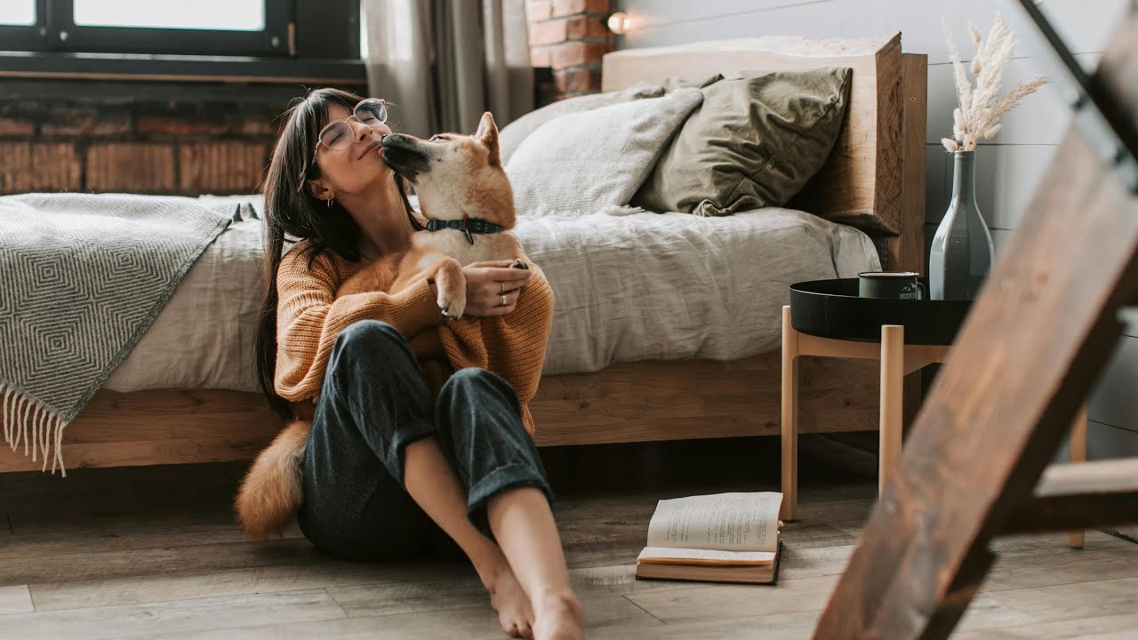 Heart Touching Dog & Girl Love Story You Can’t Miss.Immerse yourself in the rhythm, feel the beat,