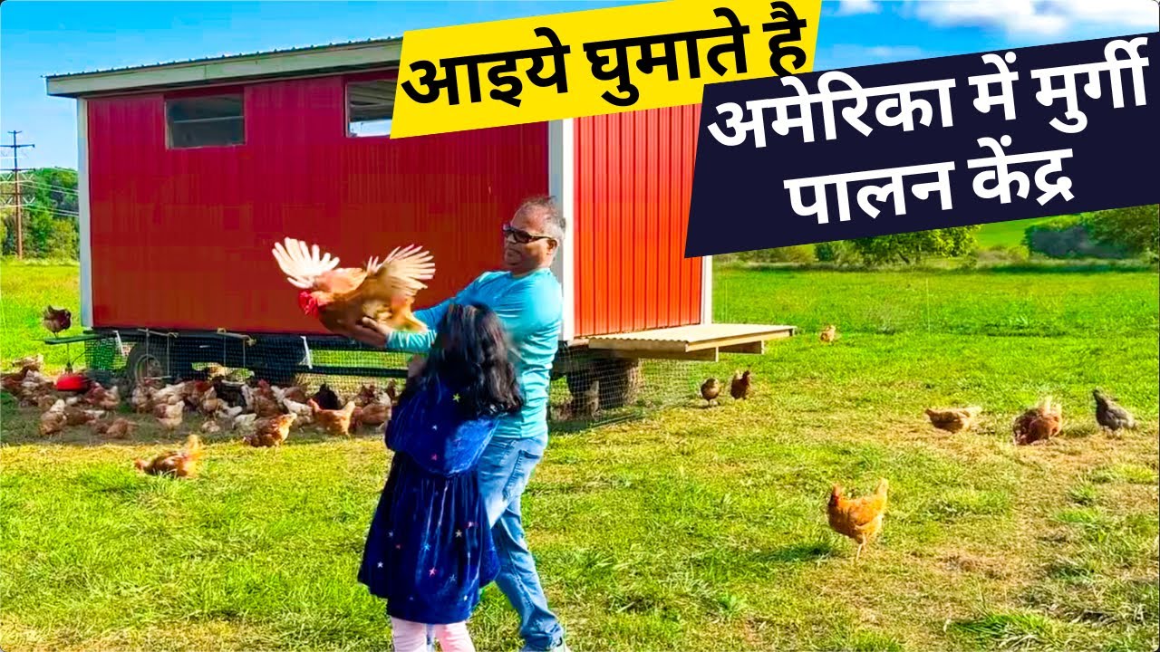 अमेरिका में मुर्गी पालन केंद्र Poultry farming in USA