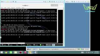 CEH Module 03 Scanning : hPing3 Lab