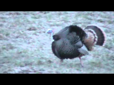 The Washington Boys- Drop Zone Huntin Music Video