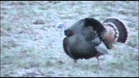 The Washington Boys- Drop Zone Huntin Music Video