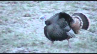 The Washington Boys- Drop Zone Huntin Music Video