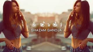 Azeri Bass Music 【 Leyla 】 360p