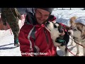 Хаcки Хутор на Роза Хутор. Глава 4. Собачья упряжка | Husky Khutor at Rosa Khutor. Dog Team. Eng sub