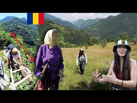 Video: De ce este cătinul în pericol?