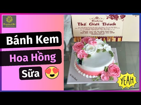 Video BÁNH KEM 