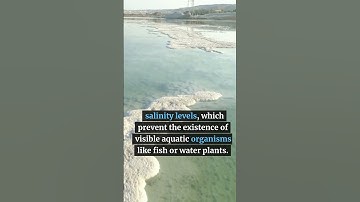 Why is it called the Dead Sea?