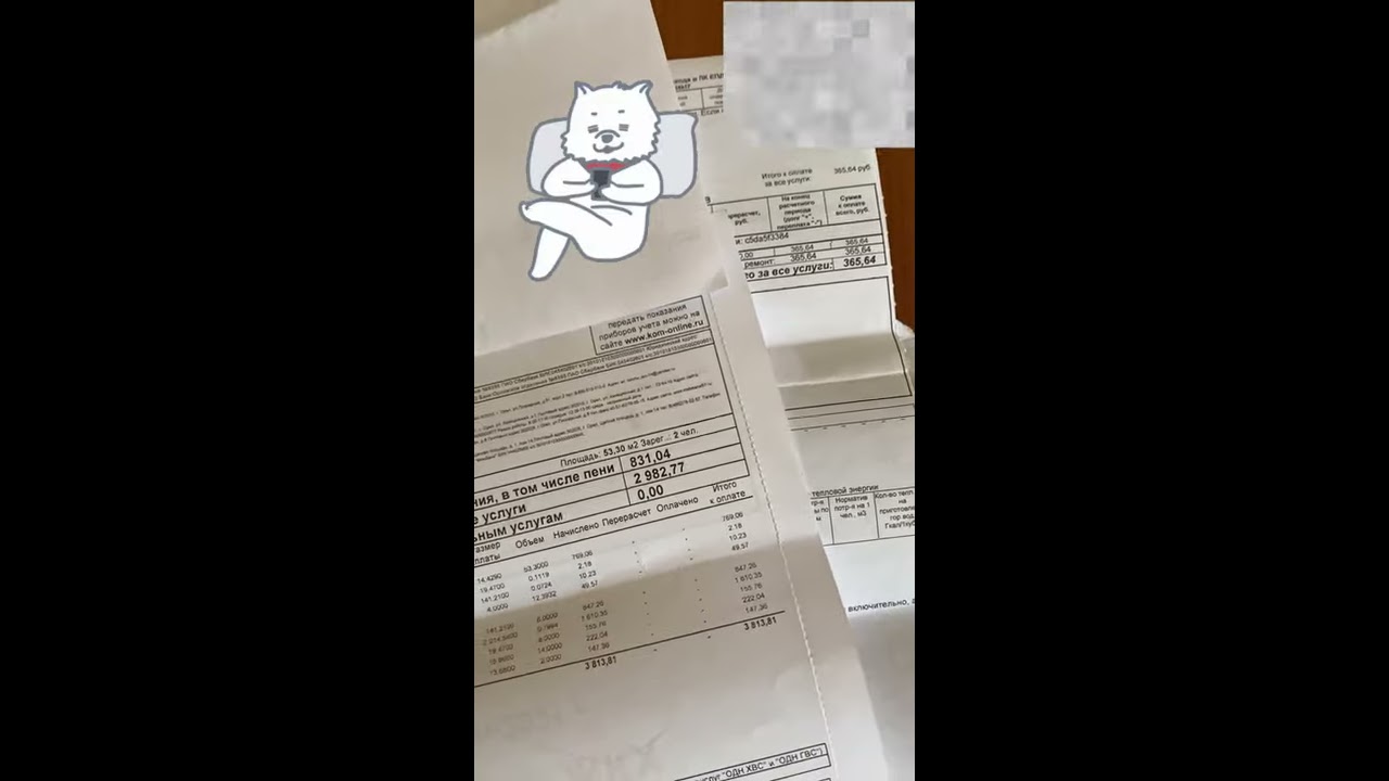 Оплатить СПбГУ за обучение через Сбербанк онлайн