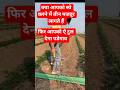 किसन का पैसे बचाने वाला टुल|Htp hose pipe corner stand #farming #gardeningtool #agriculture#शेती