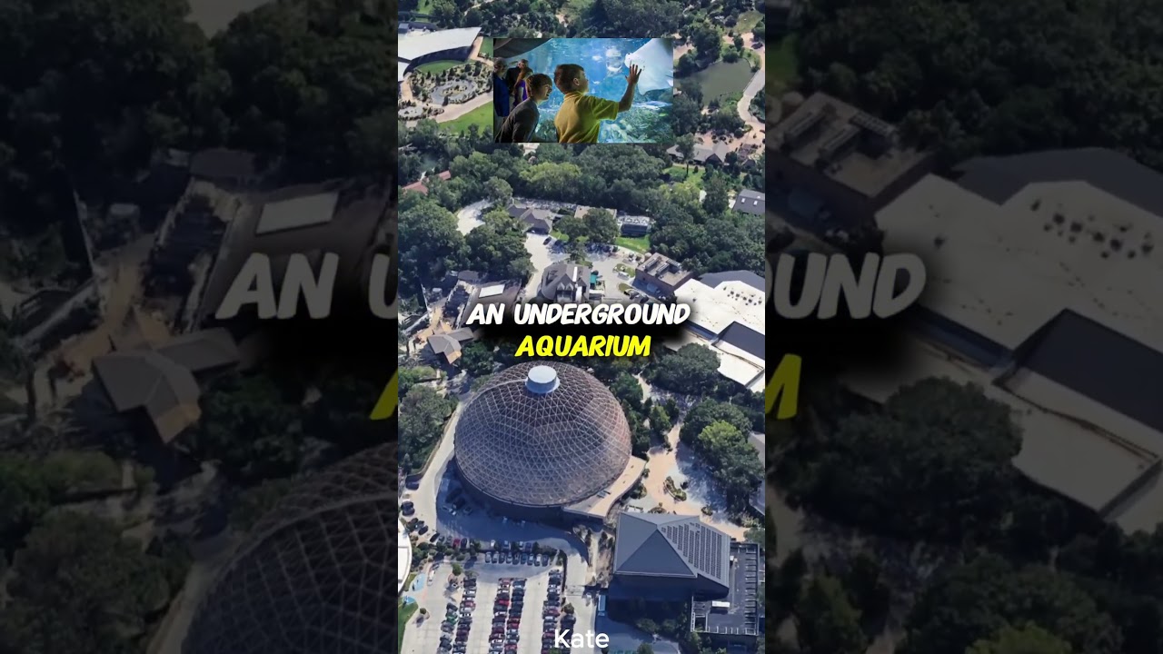 The BIGGEST Zoo in the USA Will Blow Your Mind! 😱 