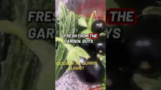 #viralvideo #veggies #freshvegetables #everyone #automobile #garden #gardening