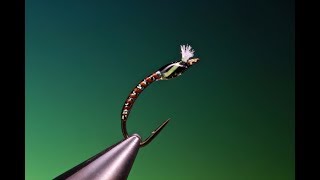 Tying a quill body buzzer with Barry Ord Clarke