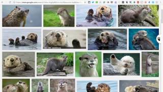 ThingLink Getting Images