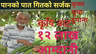 #tomatofarming#krishnasudhadhungana#पानको पात गितको सर्जक कृष्ण सुधा ढुंगाना बिशेष कुराकानी