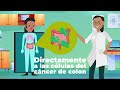 Tratamiento para cáncer de colon