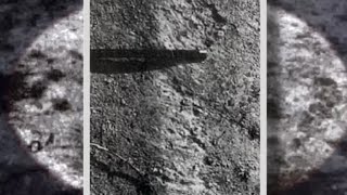 The Renato Nicolai UFO Sighting 1981 Trans en Provence France
This video features materials protected by the Fair Use guidelines of Section 107 of the Copyright Act. All rights reserved to the copyright owners ✅ #uap #alien #ufoキャッチャー The Renato Nicolai UFO Sighting 1981 Trans en Provence France