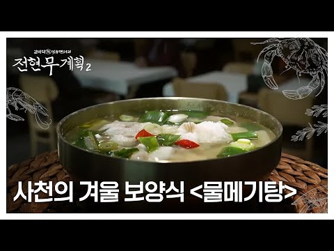 "혹시 이건 솜인가?" 살이 혀로 부서지는 사천의 겨울 보양식 <물메기탕> MBN 250124 방송