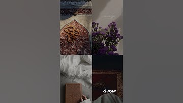 ام يقولون افتراه قل فاتوا بعشر القارئ عبد الرحمن مسعد تلاوة خاشعة ومؤثرة قران كريم 🤍🕌🕋🕊️🍁