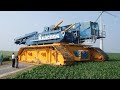 World Amazing Modern Technology Machines Working - Incredible Agriculture Forestry Machinery