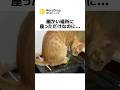 暖かい場所に 座っただけなのに...