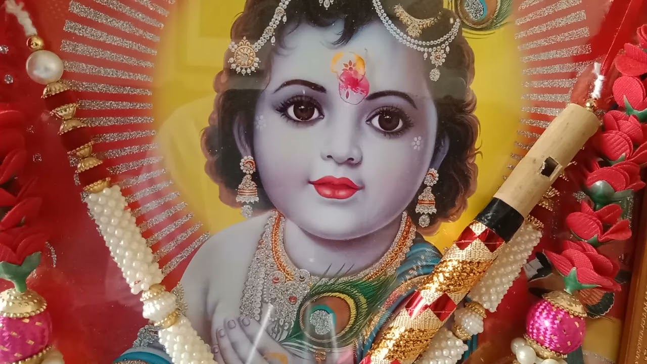 પુનીત મહારાજ રચિત નંદના કિશોર રાજા રણછોડ તારી મૂર્તિમાં મન મોહ્યું