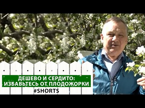 Вы даже не
