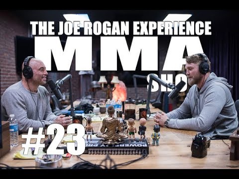 JRE MMA Show #23 with Alexander Gustafsson