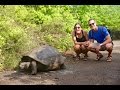 Giant Land Tortoises! They barely noticed us | Galapagos Cruise Day 3