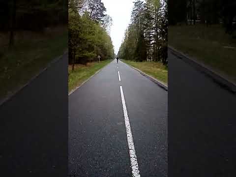 Беловежская пуща. Одно разочарование. В вольерах только зубры, олени и зачем-то лошади. очень далеко