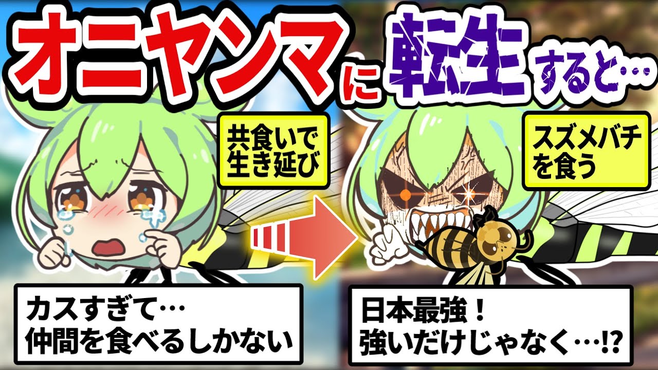 スズメバチをザコ扱い!?100万年の進化により最強へ！しかも、強いだけじゃなく〇〇だと!?こいつが昆虫界「最強」でありながら〇〇な理由