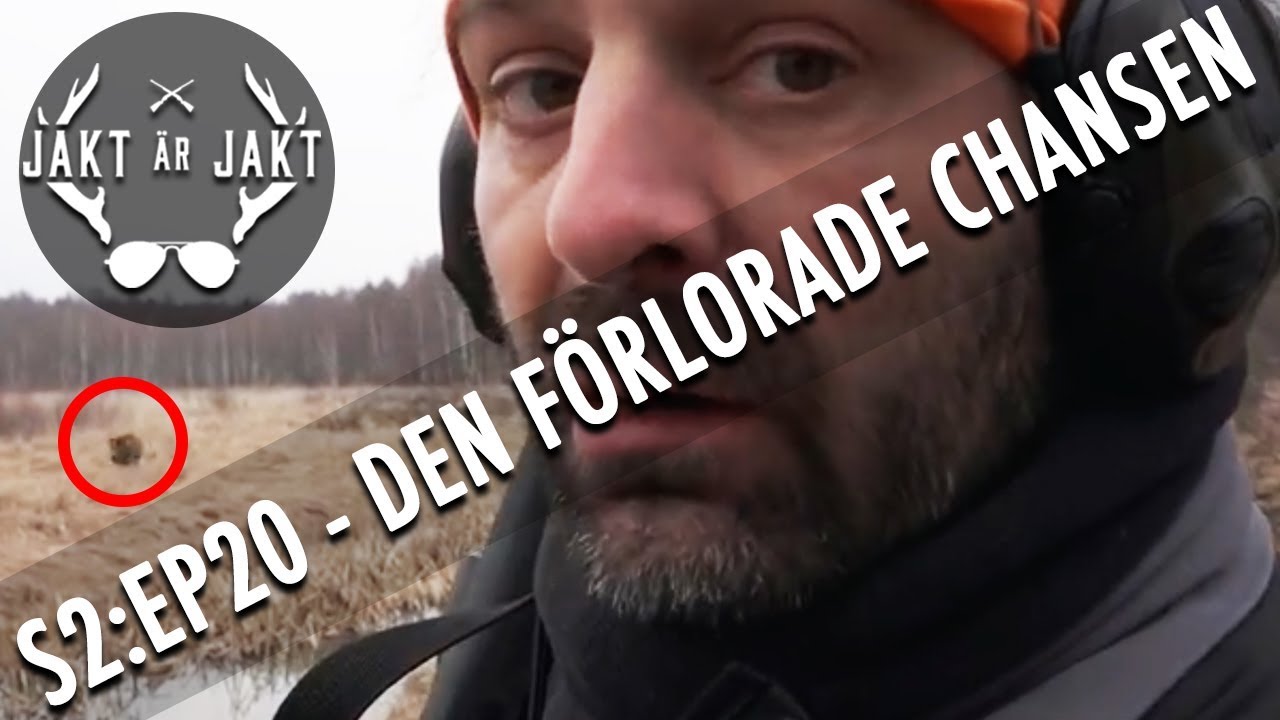 Jompens första drevjakt på vildsvin. | Jakt är Jakt