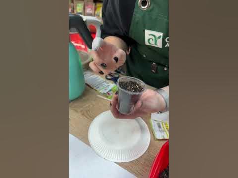 #сад #дача #семенаалтая #огород #цветы - YouTube