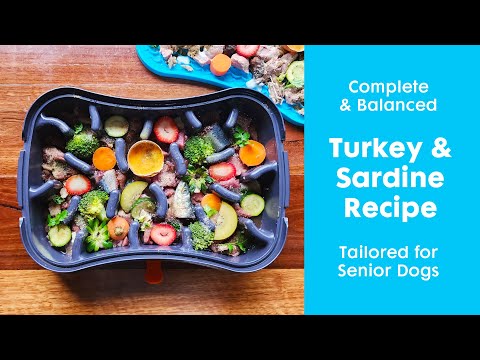 Complete and Balanced Homemade Dog Food Tailored for Senior Dogs | With Super Feedy