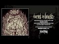 Disrupted - Buried In Bowels (Official Audio)