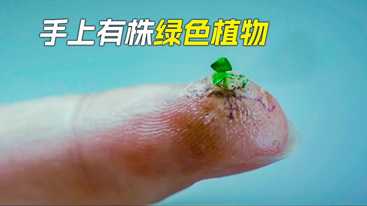 博士研究處神秘病毒，不料失去了控制，科幻，奇幻，電影，解說，獵奇，懸疑，冒險