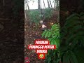 PERJUANGAN PARA PEMANCING #reels #monetisasi #public #mancing #fypシ゚viral #viral #viralshorts