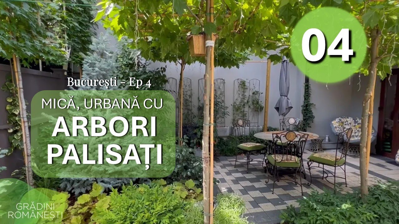 Grădină mică cu pergolă din arbori palisați - Ep.4 GRĂDINI ROMÂNEȘTI