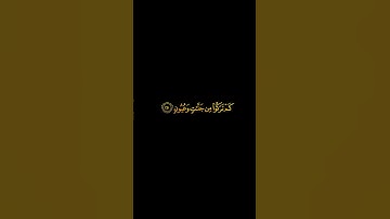 سعد الغامدي سورة الدخان