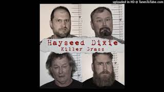 Hayseed Dixie ~ In The Backyard