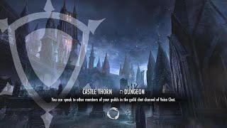 Castle Thorn HM trifecta dps [u49] 🥒