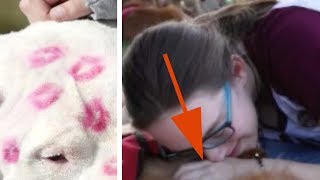 悲惨な体験をした高校生に14匹の犬たちが希望をくれた。