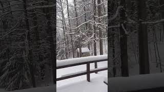 Snow Day In The Adirondacks