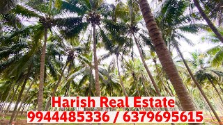 25 cent coconut farmland sales near Kinathukadavu with good water facility / Harish Real Estate