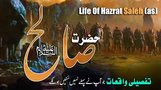 Hazrat Saleh As ka Waqia | Story of Qaum e Samood | Oontni Ka Waqia | All Life Events In Detail