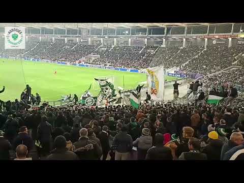 Associés supporters stéphanois - Section 125 - Pau : Toulouse - ASSE