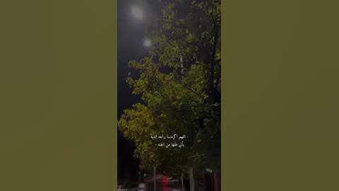 "إنا كفيناك المستهزئين" 🤍🥺 تلاوة هادئة بصوت القارئ اسلام صبحي