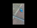 WPL D32 TRAM TRACK TRAILING SLOWED DOWN 4K120FPS FOOTAGE