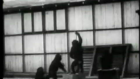 kohler chimpanzee experiment part 1