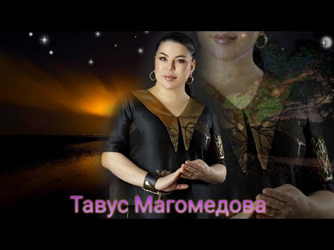 Тавус Магомедова - Гордая Любовь (Бомбовая Новинка) Аварские песни 2022 Года 🔥